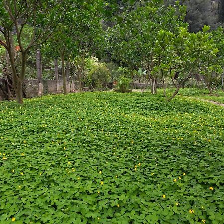 Yen Binh Homestay Ninh Binh Exterior photo