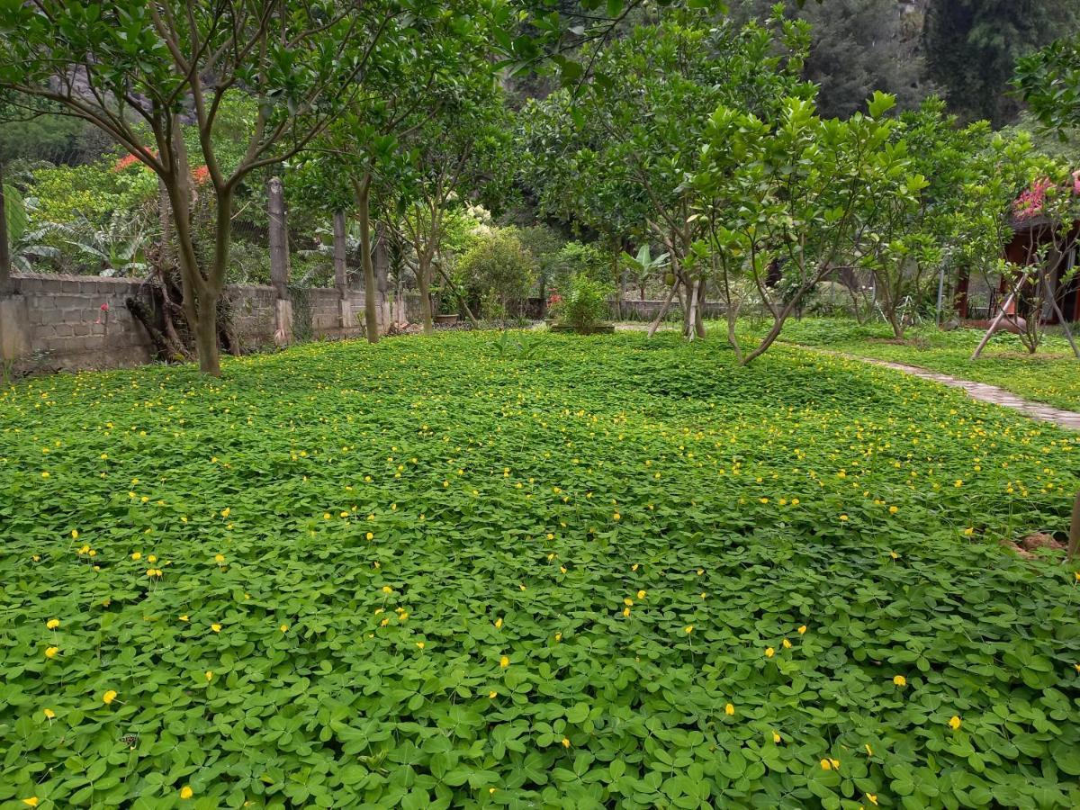 Yen Binh Homestay Ninh Binh Exterior photo