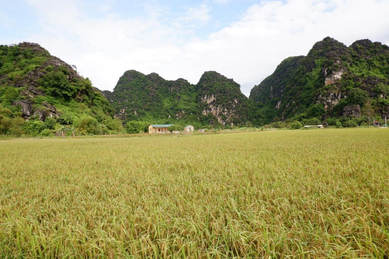 Yen Binh Homestay Ninh Binh Exterior photo